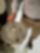 IMG-20250520-WA0003
